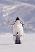 Penguin and Chick Poster (#117)