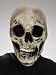 Skull Nylon Full Mask