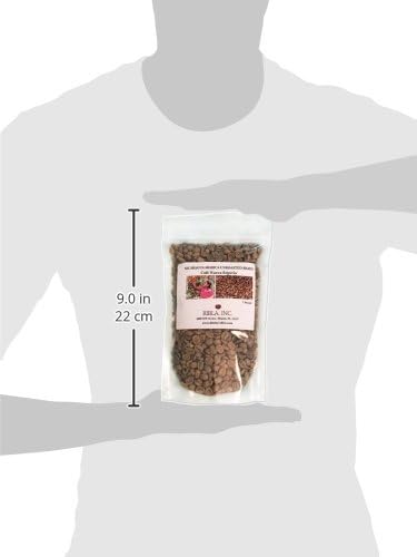 CAFE NUEVA SEGOVIA Nicaragua Arabica Unroasted Beans Bag, 1 lb