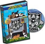 Cat DVD for Cats