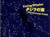 クジラの海