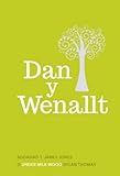 Dan y Wenallt