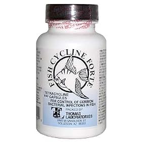 Fish Cycline Forte (Tetracycline) 500mg (100 capsules)