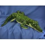 Green Alligator 41