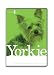 Yorkshire Terrier, Yorkie, Dog Grooming Instructional How To DVD Video and Equipment Guide