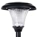 Plastic Morning Glory Style Solar Garden Light (Four Color)