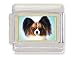 PAPILLON Dog Italian Charm
