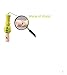 Baby Wood Whistle,YIFAN Cartoon Animal Wooden Whistle Educational Music Instrument Toy for Baby Kids Children - 1 Piece- Random Color