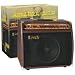 40-Watt Acoustic Guitar Amplifier