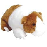 TY Twitch the Guinea Pig Beanie Buddy 12