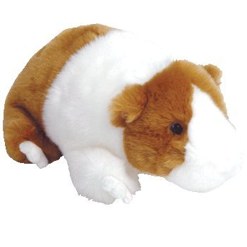 TY TWICH THE GUINEA PIG BEANIE BUDDY