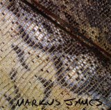 SNAKESKIN VIOLIN - MARKUS JAMES