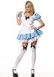 2PC Sexy Alice In Wonderland Fairytale Halloween Costume
