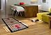 Chicago Bulls NBA Large Court Runner Mat