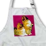 Dogs Pekingese - Pekingese - Aprons