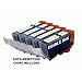 EDIBLE INKS for List PGI220,CLI221 set of 5 with Auto-Restting Chips, REFILLABLE