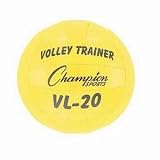 Championvolleyball Trainer