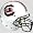 South Carolina Gamecocks