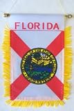 Florida - Window Hanging Flags