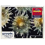 Calcium Test Kit - Saltwater - 50 Tests