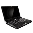 Lenovo IdeaPad S10e 4068 - Atom N270 / 1.6 GHz - RAM 1 GB - HDD 160 GB - GMA 950 - WLAN : 802.11b/g, Bluetooth - Win XP Home - 10.1" Widescreen LED backlight TFT 1024 x 576 ( WSVGA ) - camera - black