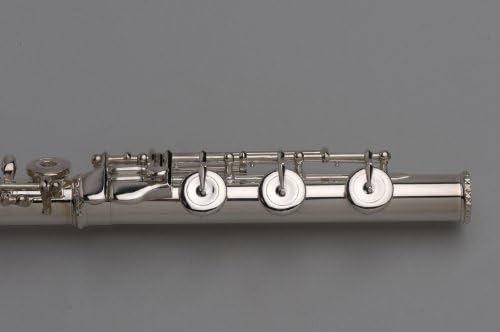 Tempest Flute - Sterling Silver Handcut Headjoint, Handmade, Offset, Low B foot, Open Hole, D# Roller, Engraved, 5-year warranty, Model 625