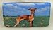 Italian Greyhound Dog Wallet