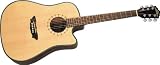 Washburn Southwestern Series Acoustic Electric Guitar