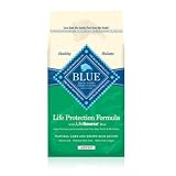 Blue Buffalo Lamb and Brown Rice Adult Dog Food