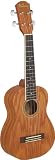 Ashbury AU-60 Concert Ukulele (Ukelele)