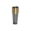 Water Source #TFV-100 1" Brass Foot Valve