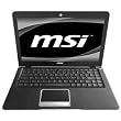 New - MSI X370-205US 13.4" LED Notebook - AMD E-450