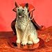 Norwegian Elkhound Tiny One Devil