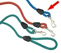 K2 Trigger Dog Lead 48" Blue