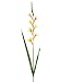 Faux 25.75 Mini Gladiolus Spray Yellow (Pack of 12)