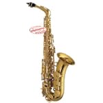 Merano Alto Saxophone Gold with Case, WALSAX