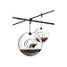 Bird Feeder