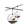 Bird Feeder