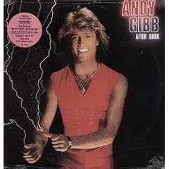 After Dark by ANDY GIBB