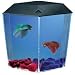Kollercraft Betta View Brite Kit for Night-Time Viewing