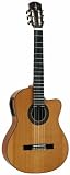 Alvarez AC65CE Acoustic-Electric Guitar