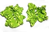 Lime Green Ruffle Ribbon Bow Clippie Set
