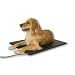 Lectro-Kennel Heated Dog Pad Size/Watt: Large/80