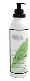 Archipelago Botanicals - Morning Mint Hydrating Lotion
