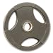 25lb Rubber Coated Grip Plate (EA)