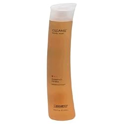 Hazelnut Vanilla Cleanse Body Wash 10.50 Ounces