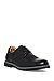 Giraldi Bond Men's Oxford Shoes
