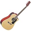 Washburn D10 Series Acoustic Electric Cutaway Guitar