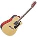 Musical Instruments : Washburn D10 Series Acoustic Electric Cutaway