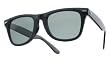 Classic Vintage Wayfarer Sunglasses w/ Case